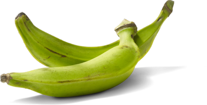 Plantejnová mouka 500 g Plantejnová mouka 500 g
