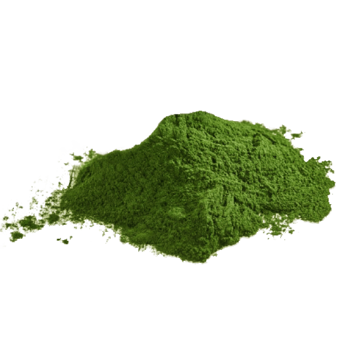 Chlorella prášok