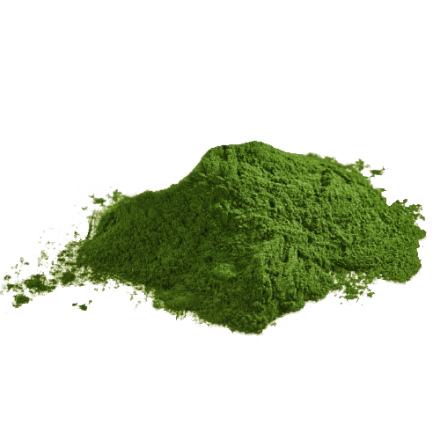 Chlorella prášok